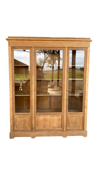 VITRINE BIBLIOTHEQUE
